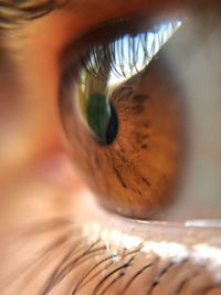 Extreme close-up of human eye