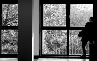 Trees seen through window