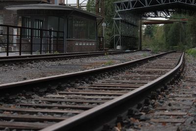 Railroad tracks amidst trees