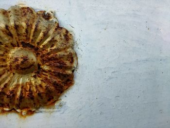 Close-up of food on table