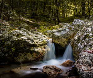 View of waterfall in forest