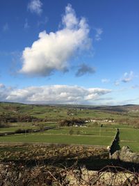 Scenic view of agricultural field against sky