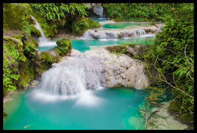 Scenic view of waterfall