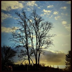 Low angle view of bare trees against sky