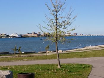 View of calm sea against clear blue sky