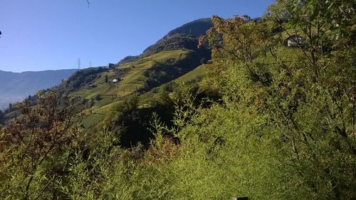 Scenic view of tree mountains against clear sky