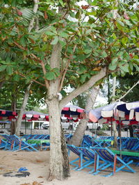 Chairs and tables against trees