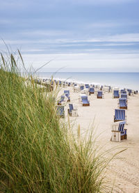 Beach chairs at kampen beach on the island sylt
