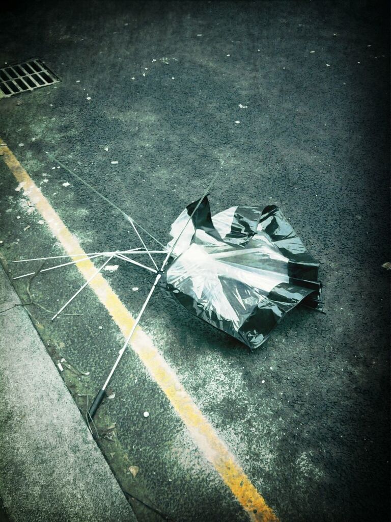 high angle view, street, road, transportation, asphalt, road marking, no people, sunlight, day, ground, outdoors, sidewalk, shadow, elevated view, white color, messy, directly above, garbage, textured, dead animal