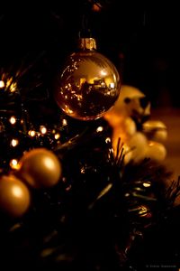 Close-up of illuminated christmas tree at night