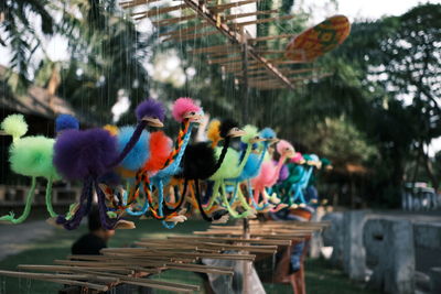 View of birds perching
