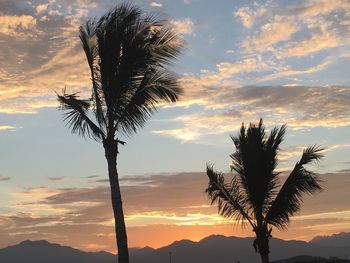 Low angle view of silhouette trees against sky during sunset