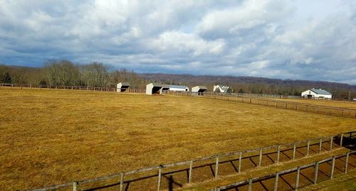 Scenic view of field against sky