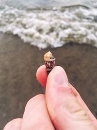 Close-up of person holding ladybug on sand at beach