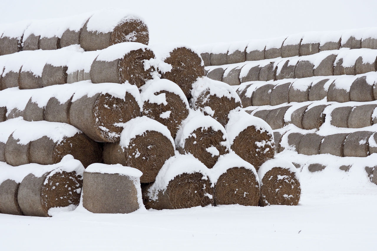 VIEW OF SNOW COVERED LAND