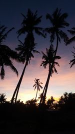 Silhouette palm trees against sky during sunset