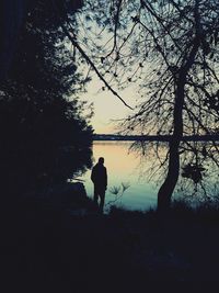 Rear view of silhouette man standing by trees against sky