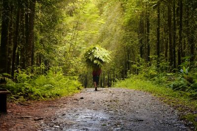 Man walking on road in forest