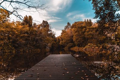Pier amidst trees over lake against sky during autumn