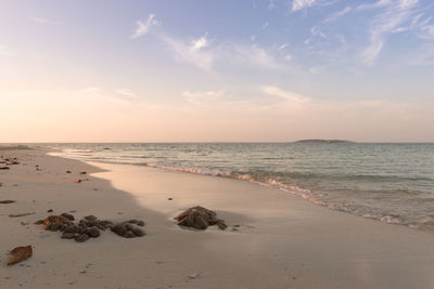 Scenic view of beach against sky