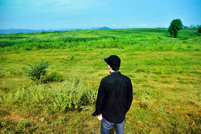 Rear view of man looking at field
