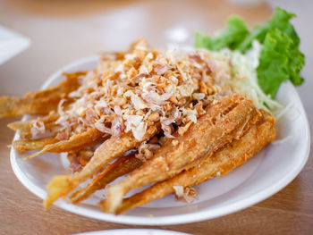 Close-up of food in plate