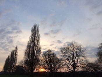 Low angle view of bare trees against sky at sunset