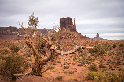 View of rock formations on landscape against sky