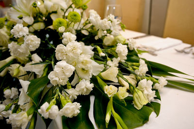 Close-up of white flowers