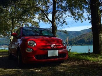 Red car on tree against sky