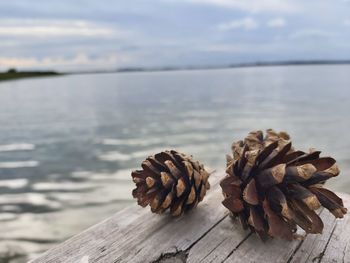 Close-up of wood on beach against sky