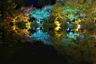 reflection