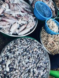 View of fish for sale at market stall