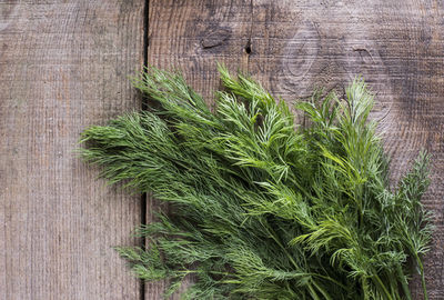 Close-up of dill on wooden table