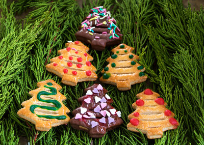 Close-up of cookies on christmas tree