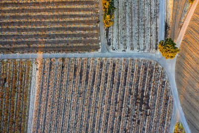 High angle view of rusty metal on wall