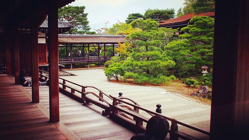 Walkway amidst trees