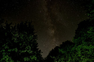 Low angle view of trees against sky and milky way at night