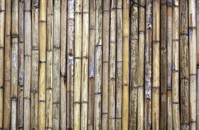 Full frame shot of bamboo fence