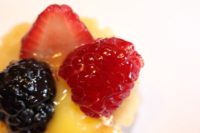 Close-up of dessert in plate