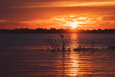 Scenic view of sea against orange sky