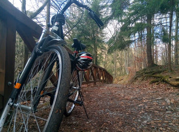 Bicycle parked on tree trunk in forest