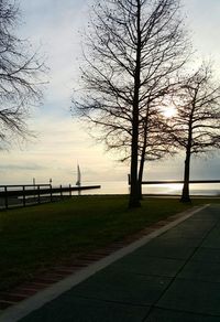 Bare trees in park against sky during sunset