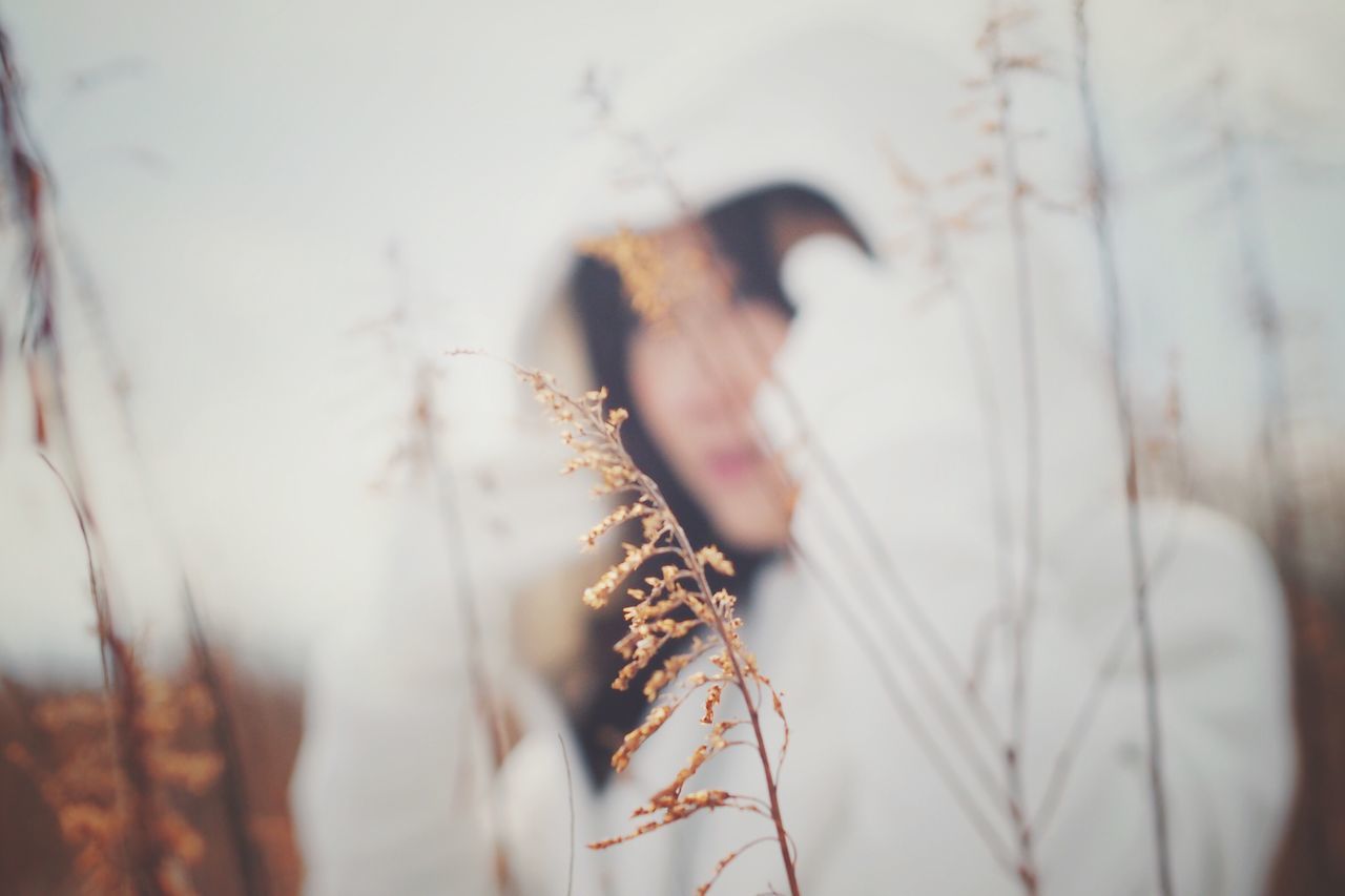 animal themes, one animal, selective focus, focus on foreground, wildlife, close-up, animals in the wild, nature, dry, insect, day, outdoors, field, twig, plant, brown, person, side view