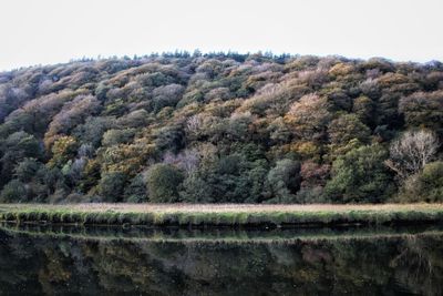 Scenic view of lake by trees against sky