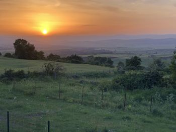 Scenic view of field against sky during sunset