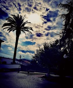 Silhouette palm trees against sky