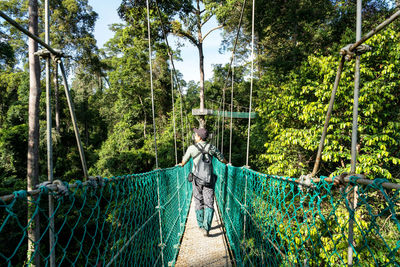 Footbridge amidst trees
