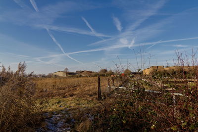 Field against sky