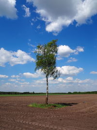 Trees on field against cloudy sky